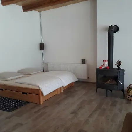 Ubytovani U Smejkalu Apartamento Telč